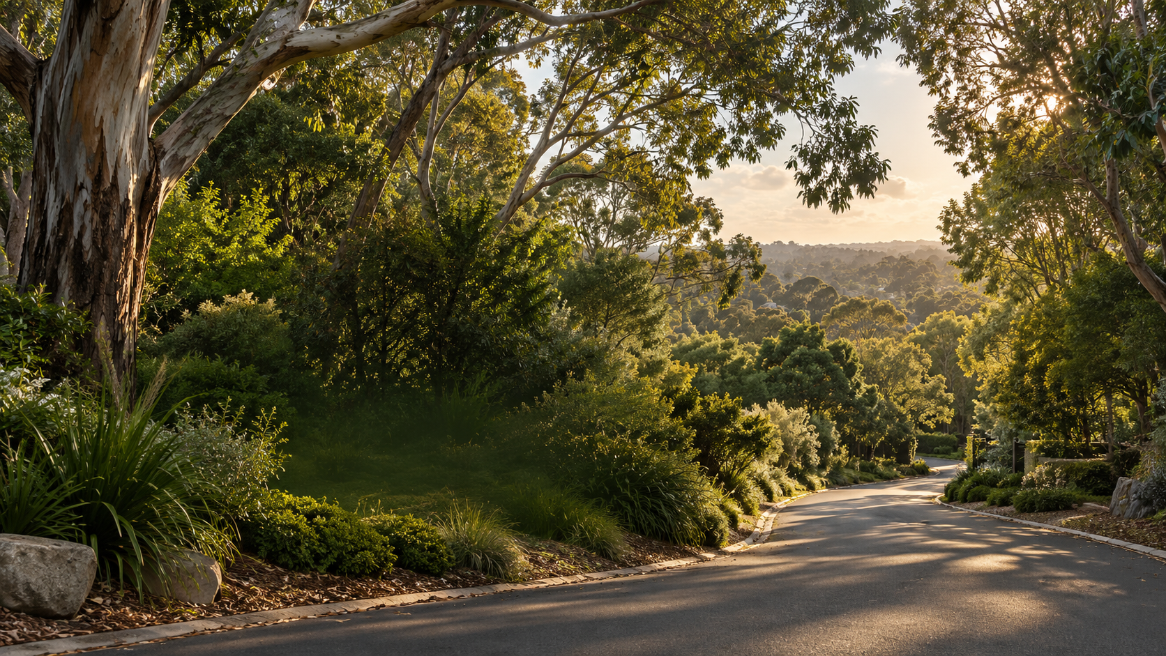 Artist impression of a leafy residential landscape with mature trees and a winding lane